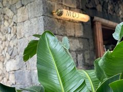 -MOJ coffee(瓯海泽雅水碓坑店)