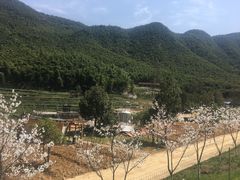 -长兴太湖图影湿地文化园