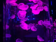 -成都浩海立方海洋公园