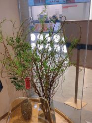 点击看大图 -万阡国际专业祛斑·祛痣·祛疤连锁