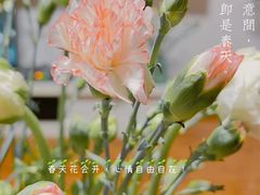 -循礼门鲜花花市(武汉循礼门店)