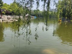 -莲湖公园