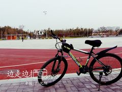 -丁香湖公园
