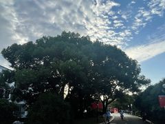 -西郊宾馆-地面停车场