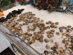 -鲤鱼洲酒店港鲤咖啡厅