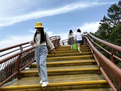 -少华山国家森林公园