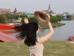 -荷兰花海