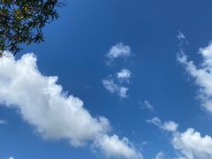 -上海吴淞炮台湾国家湿地公园