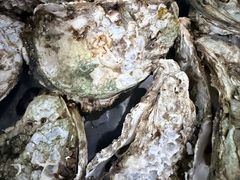 -蚝哥花姐湛江烤生蚝(美丽湾市场店)