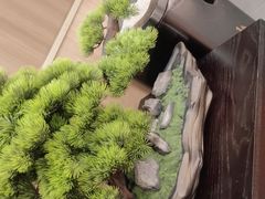 -大鹏饭店·金陵家宴(奥体中心店)