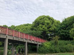 -美兰湖景区