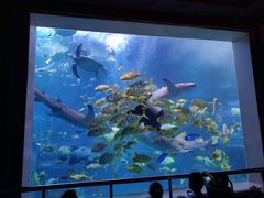 -太平洋海底世界