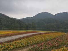 -广州市石门国家森林公园