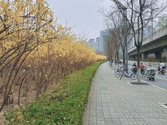 -森林公园(尖草坪区)