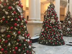 -Salon de Ville浦江汇(上海外滩华尔道夫酒店店)