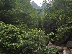 -大明山自然探索公园