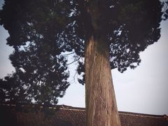 iphone_upload_pic-江南第一家