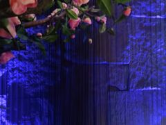 -佐度王子扒房(天鹅湖店)