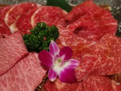 -俺的焼肉(銀座9丁目店)