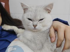 -lincat·猫舍(广州店)