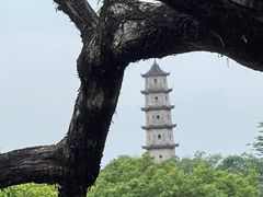 -江心屿景区