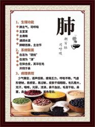 -兰派国际美容养生SPA