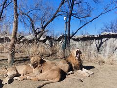-北京野生动物园