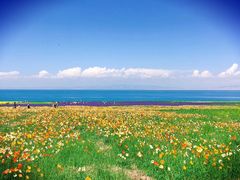 -青海湖国家重点风景名胜区