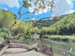 -千泷沟大瀑布旅游区