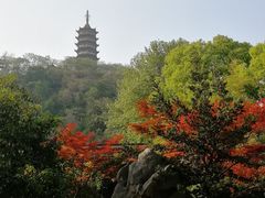 -焦山风景区