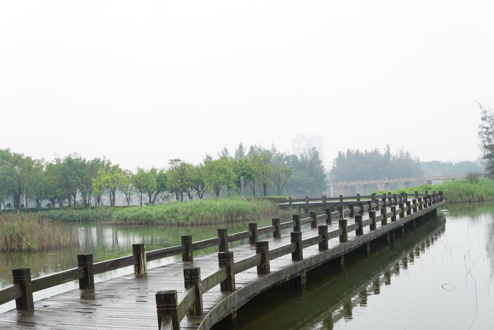 空旷幽静有氧运动好去处