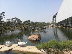 -罗红摄影艺术馆