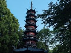 -上海佘山国家森林公园西佘山园