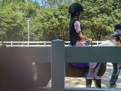 -杭州少年儿童公园