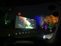 -枫花园汽车电影院(朝阳公园店)