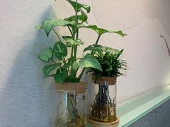 -红小满休闲餐厅(十全街店)