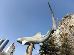 -烟台海昌鲸鲨海洋公园