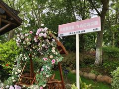 -茅山东方盐湖城景区