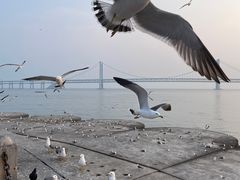 -星海广场