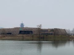 -洋湖国家湿地公园