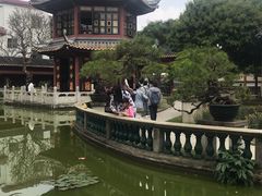 -碧江金楼