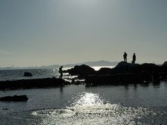 -养马岛旅游度假区