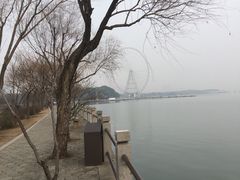 -无锡蠡湖国家湿地公园-蠡园
