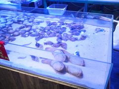 -十六蒲(桂林路店)