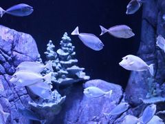 -成都浩海立方海洋公园