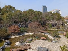 -上海吴淞炮台湾国家湿地公园