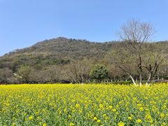 -八卦田遗址公园