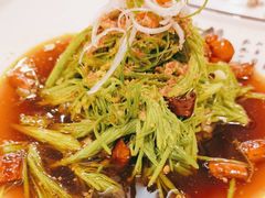 凉拌松尖-白家寨子·山野白族菜(古城总店)