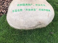 -合肥滨湖国家森林公园