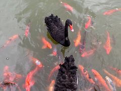 -春晖园度假酒店温泉